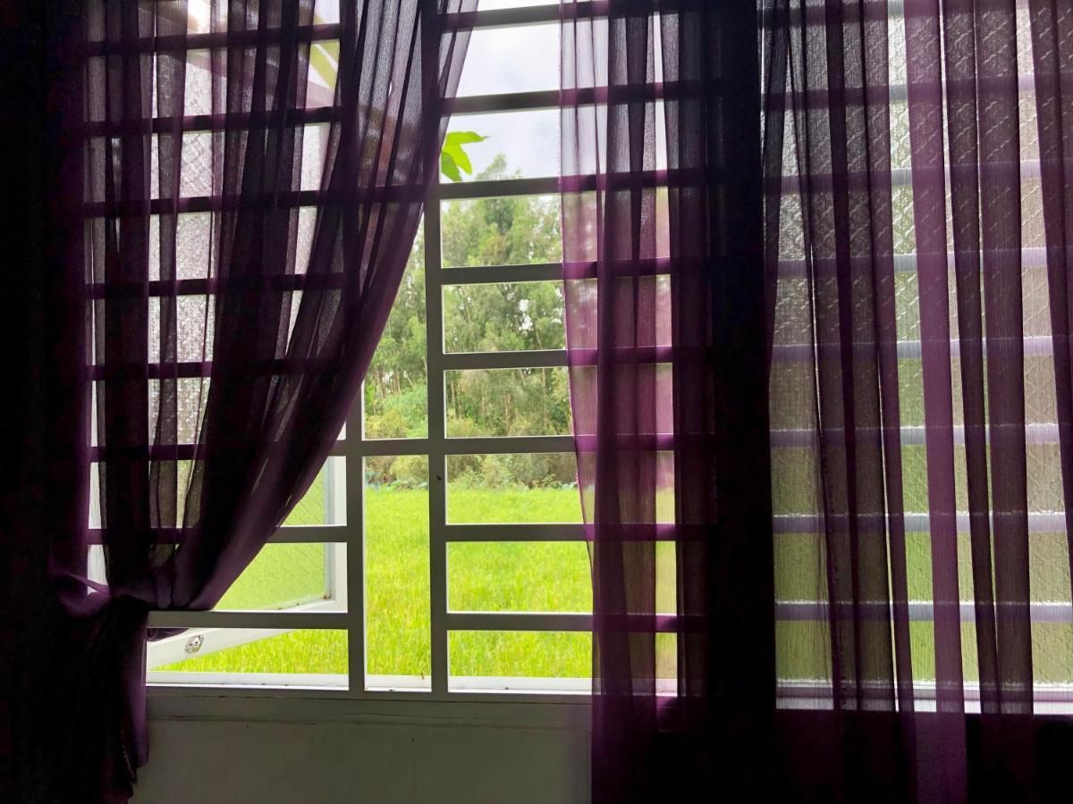 Huong Tram Homestay Ho Da Экстерьер фото