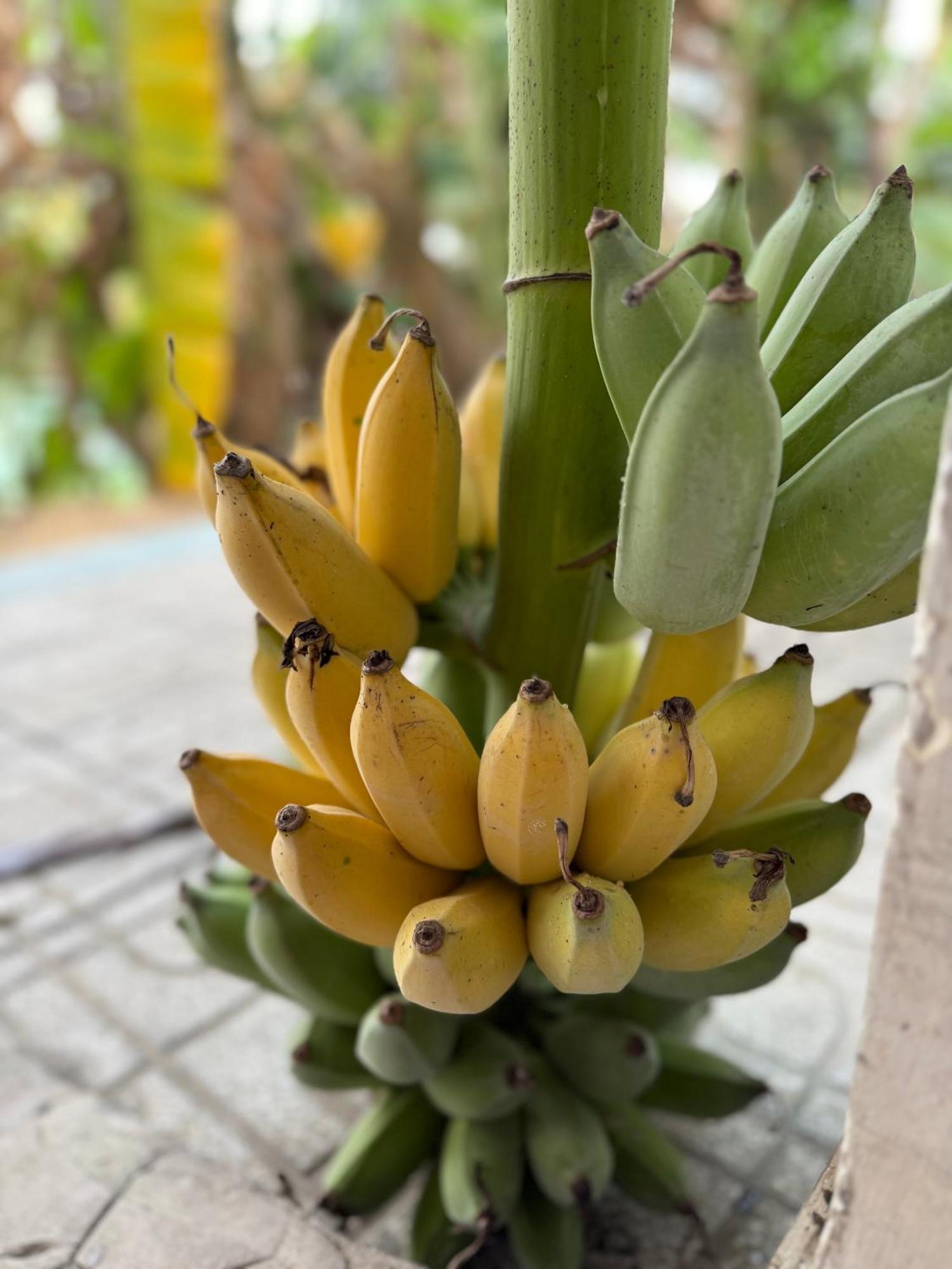 Huong Tram Homestay Ho Da Экстерьер фото