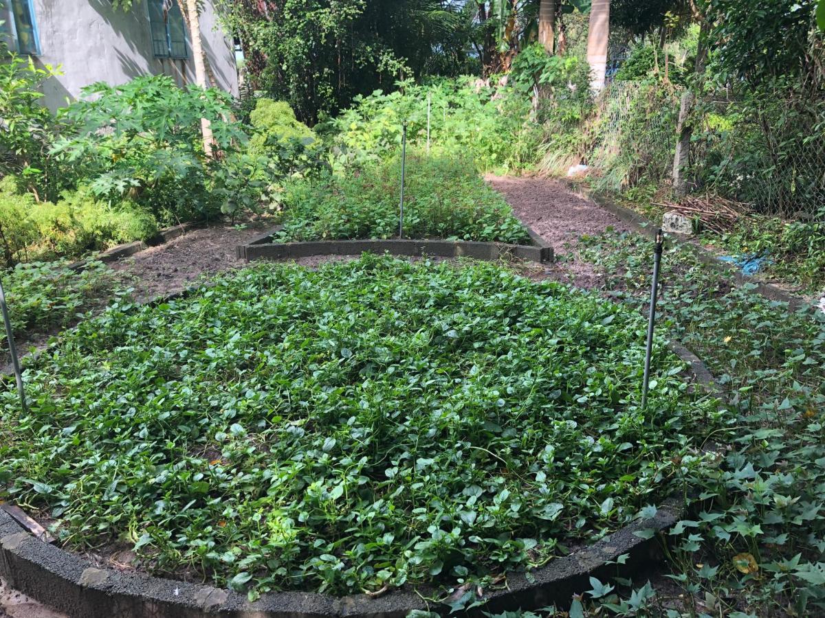 Huong Tram Homestay Ho Da Экстерьер фото
